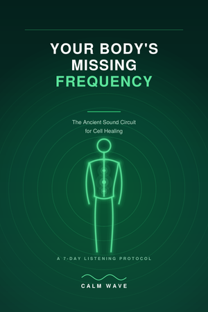 Your Body's Missing Frequency ebook