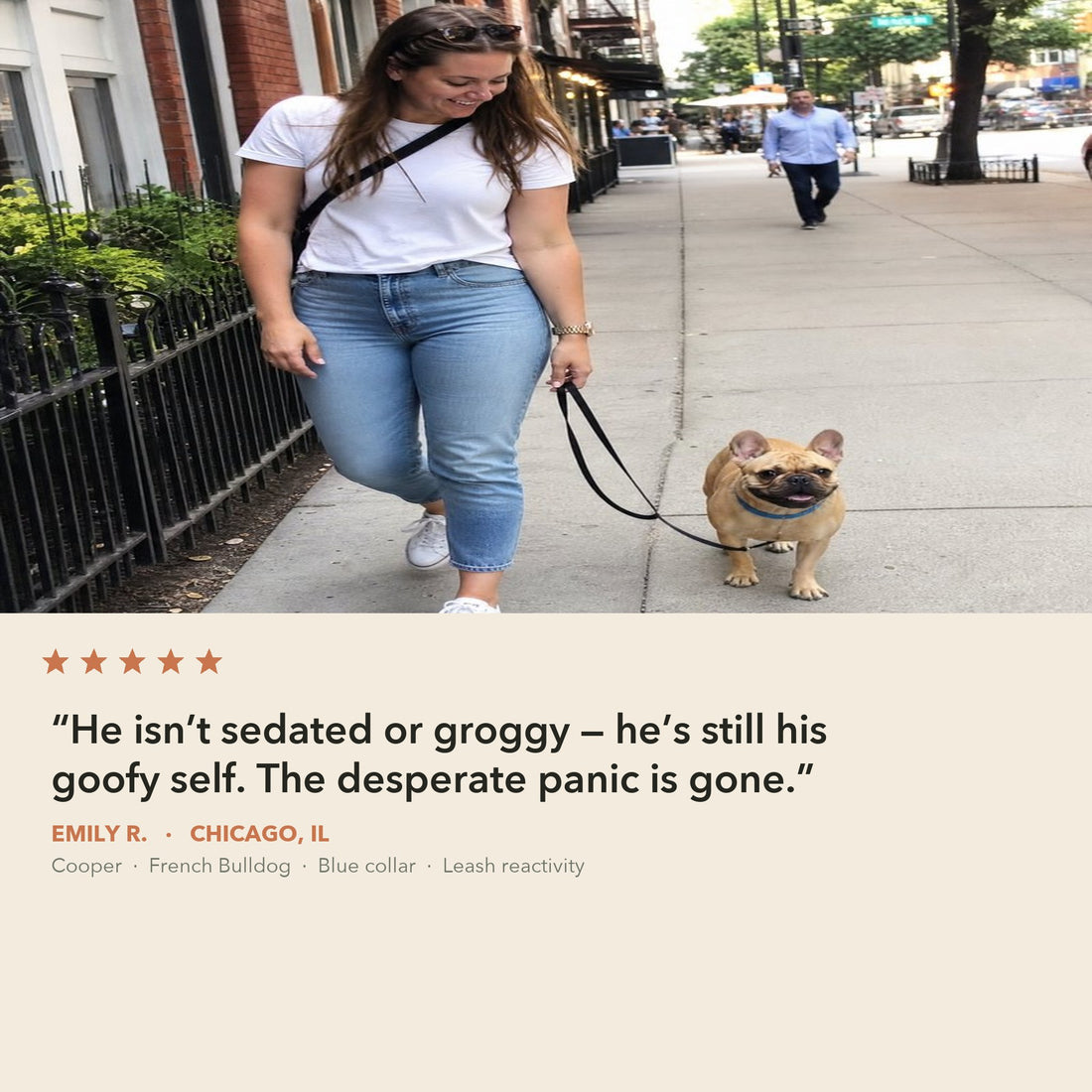 Emily R. from Chicago walking Cooper, her French Bulldog in a blue CollarZen collar, calmly on a loose leash