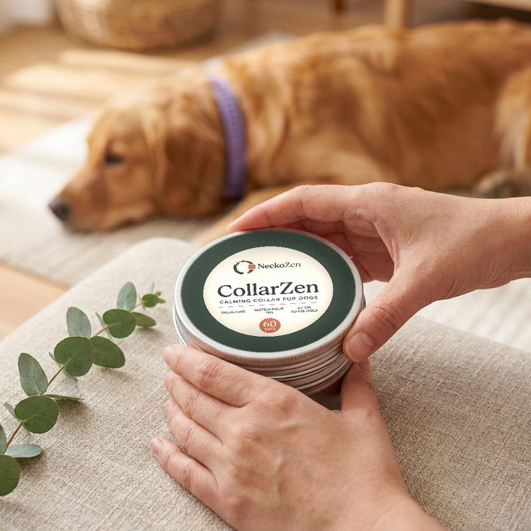 Two hands lifting the lid off a sealed aluminium CollarZen tin, the dog resting behind them.