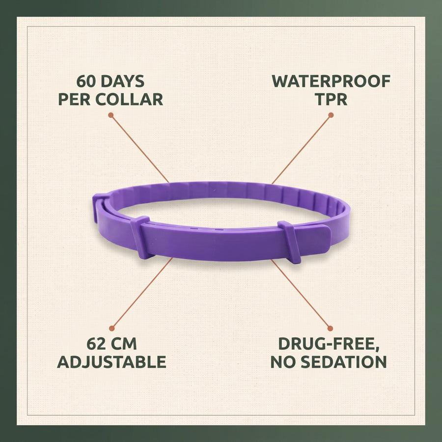 CollarZen collar with callouts: 60 days per collar, waterproof TPR, 62 cm adjustable, drug-free
