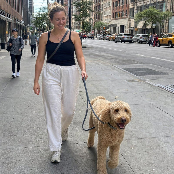 Olivia P. from New York, NY with their dog wearing a CollarZen collar and their dog wearing CollarZen