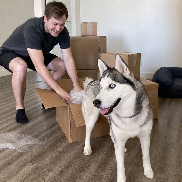 Liam D. from Minneapolis, MN with their dog wearing a CollarZen collar and their dog wearing CollarZen