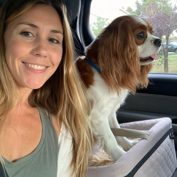Ava N. from Charlotte, NC with their dog wearing a CollarZen collar and their dog wearing CollarZen