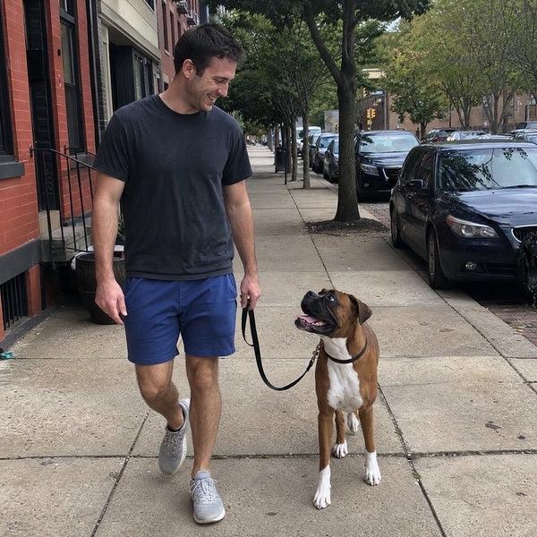 William F. from Philadelphia, PA with their dog wearing a CollarZen collar and their dog wearing CollarZen