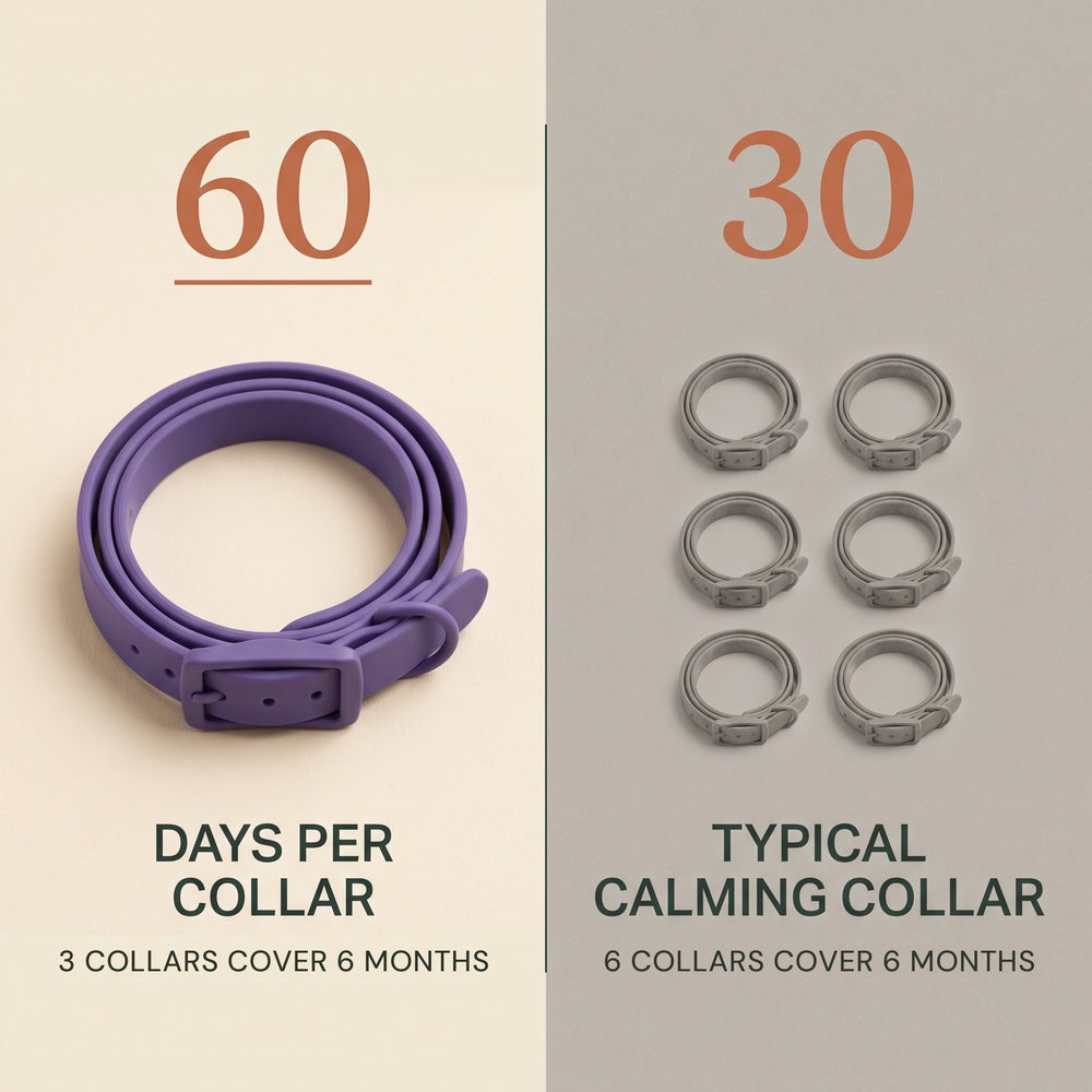 One CollarZen collar covers 60 days — three cover six months, where typical 30-day calming collars need six.